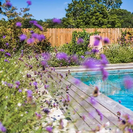 Etxe Batua - Keyweek Renovated Basque With Heated Pool Holiday home Arcangues